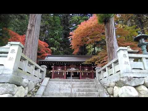 The Japanese Beautiful Shinto Shrine in The Forest And The Beauty Of Nature ❤️❤️❤️