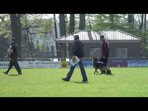 Moana von Peroh Schutzdienst LG-FCI 2010