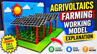 agrivoltaics farming working model explanation - integrated farming