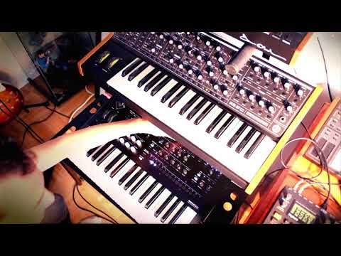 New Adventures in K7 #21 : Hybrid Bass Line (Moog Sub37 + Korg Wavestate)