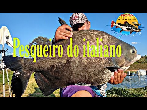 Italian Fishing - Estiva Gerbi sp