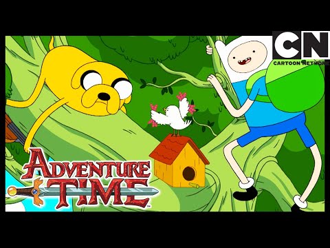 Despejados | Hora de Aventura Brasil | Cartoon Network 🇧🇷