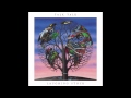 Talk Talk - New Grass