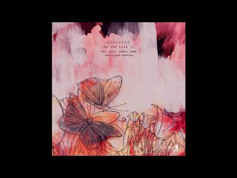 Soulfeed - Do You Like It (David Keno remix)