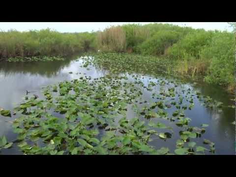 Florida National Everglades Park Documen