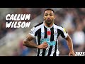 Callum Wilson 2023 ● Best Skills and Goals ● [HD]