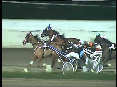 Trotto 14/02/2016 - 8° corsa