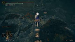 🔴エルデンリング！探索！【PS5:生配信】