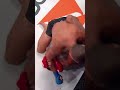 The Top Finishes of Adam Borics