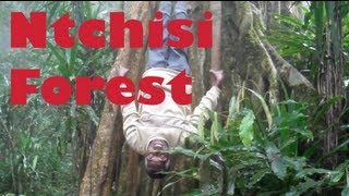 Ntchisi School & Rainforest - Malawi, Africa