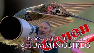 Hummingbirds with the Canon R5 II and 600 F11 lens