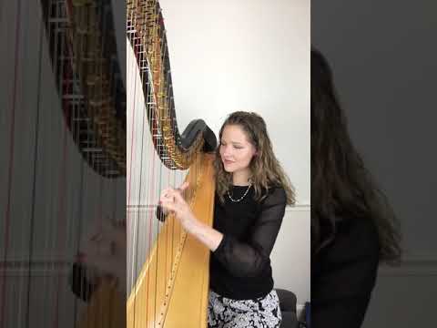Promotional video thumbnail 3 for Nashville Harp