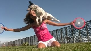 World's Most Amazing Stunt Dogs! (30 dog stunts in 90 seconds)