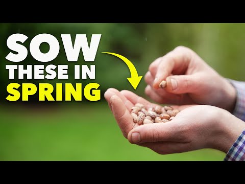 You Must Sow These Seeds in October