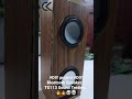 How To Make A Bluetooth Amplifier TG 113 Sound Testing
