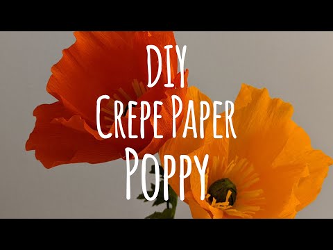 DIY Crepe Paper Poppy Tutorial