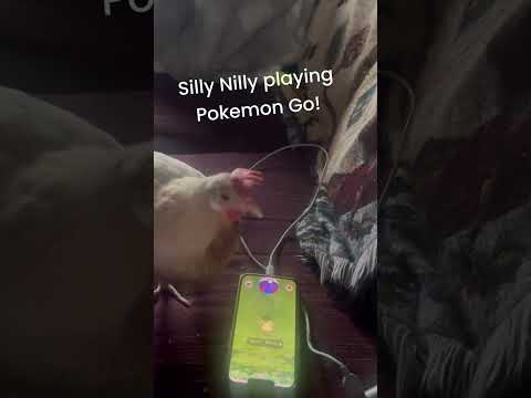 Silly Nilly Plays Pokémon Go