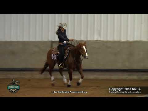 2018  NRHA Derby: Ltd NP - Madison Gustin & Guns R Spooky