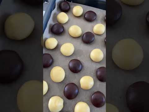 Boule au noix de coco et au chocolat !