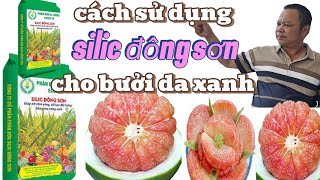 How to take care of Green-Skin Grapefruit to keep it sweet and juicy in 30 days