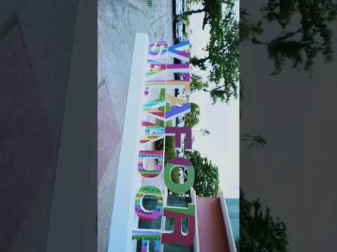 8º Congresso Vitafor Science - Salvador - Bahia - 2022