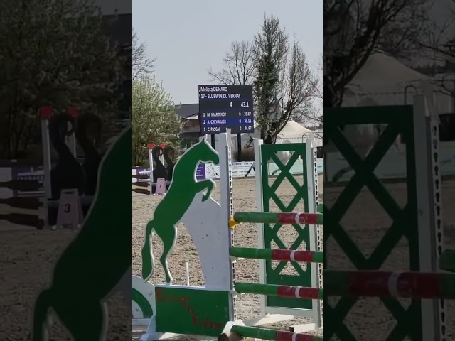 Selle fran&ccedil;ais 1m80 - ma&icirc;tre d'&eacute;cole 