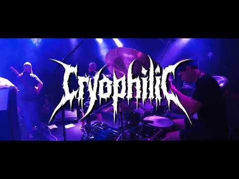 Cryophilic | Live at Ryefield Fest | 2023