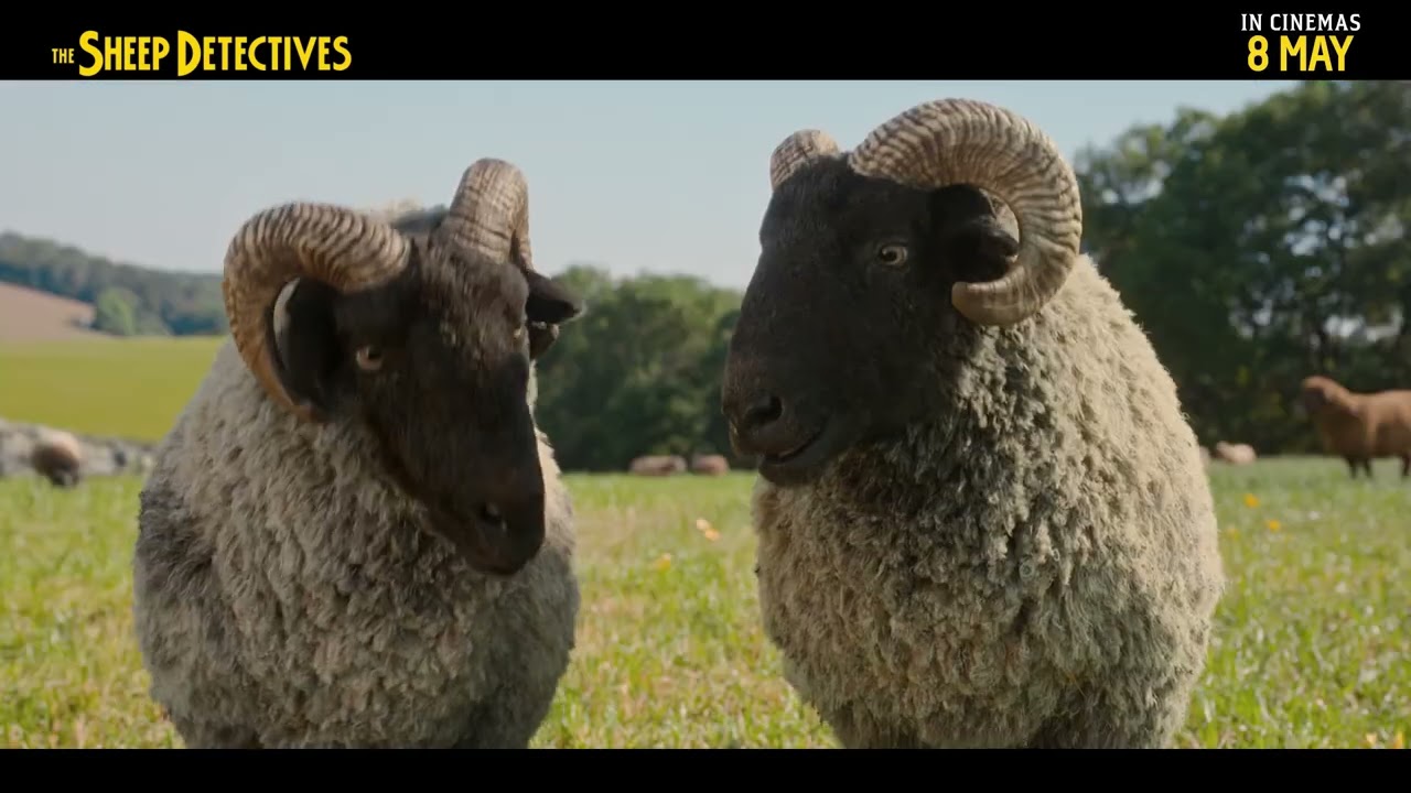 8th Maaaaa-y it is 🐑🕵️‍♂️ #TheSheepDetectives - exclusively in cinemas now.