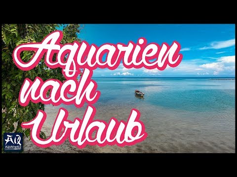 Aquarien nach 10 Tagen Urlaub - Herbsttour 2019 | AquaOwner