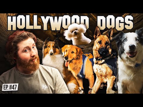 The Most Famous Dog Actors | The Dogs Were Good (again) | Ep. 47