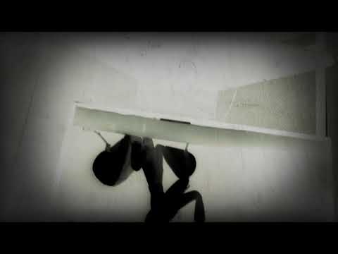 Or my maze it is foxy the fox what are you going to see what I see I’m glad to see bad