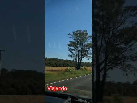 JAGUAPITA E CENTENÁRIO DO SUL