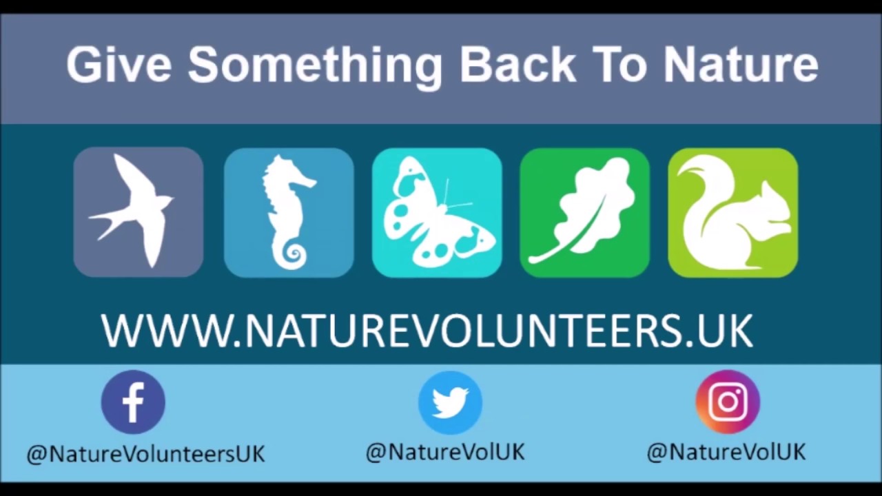 Nature Volunteers