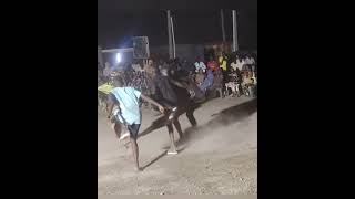 Download lagu Nubians’ Karang Dance – Traditional African Cultural Performance#viral #viralvideo #video #vlog mp3 Download lagu Nubians’ Karang Dance – Traditional African Cultural Performance#viral #viralvideo #video #vlog mp3