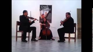 preview picture of video 'Trio de Cordas - Grupo Sonatta Campos Gerais - MG'