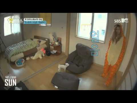 디애나 vs 강아지 (D.ana vs. Puppy)