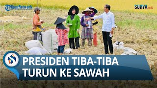 HENDAK MAKAN SIANG, Presiden Tiba-tiba Minta Berhenti dan Turun ke Sawah di Kabupaten Bandung