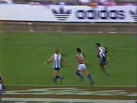 1988 Round 4 brief highlights of Channel 7 Nth Melbourne Vs Footscray,  3 mins