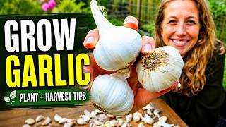How to Grow Garlic (Planting + Harvest Tips)