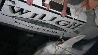 844lb. Mako Shark caught in Destin, Florida aboard the Charter Boat Twilight
