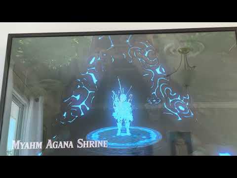 Ingredient hunting , cooking up a storm ,   Botw dishes