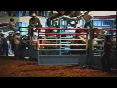 sansao silva meneses