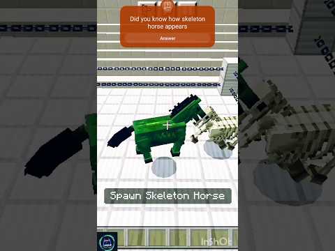 EPIC Minecraft Showdown! Skeleton Horse vs Zombie Horse #shorts