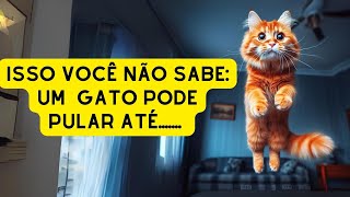 Quanto um gato pode pular? Descubra curiosidades sobre o pulo do gato