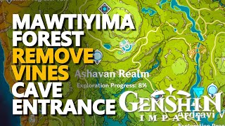 Mawtiyima Forest Remove Vines Cave Entrance Genshin Impact