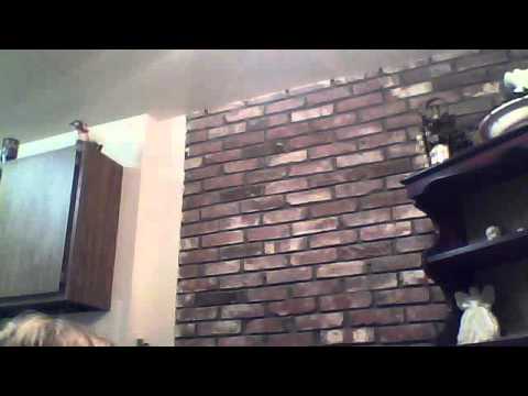 MegaWebNoob's webcam video December 21, 2011 01:17 PM