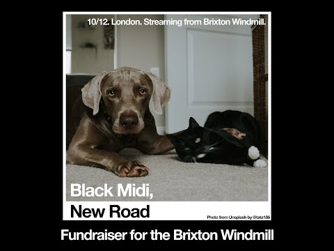 Black Midi, New Road Christmas 2020 Livestream