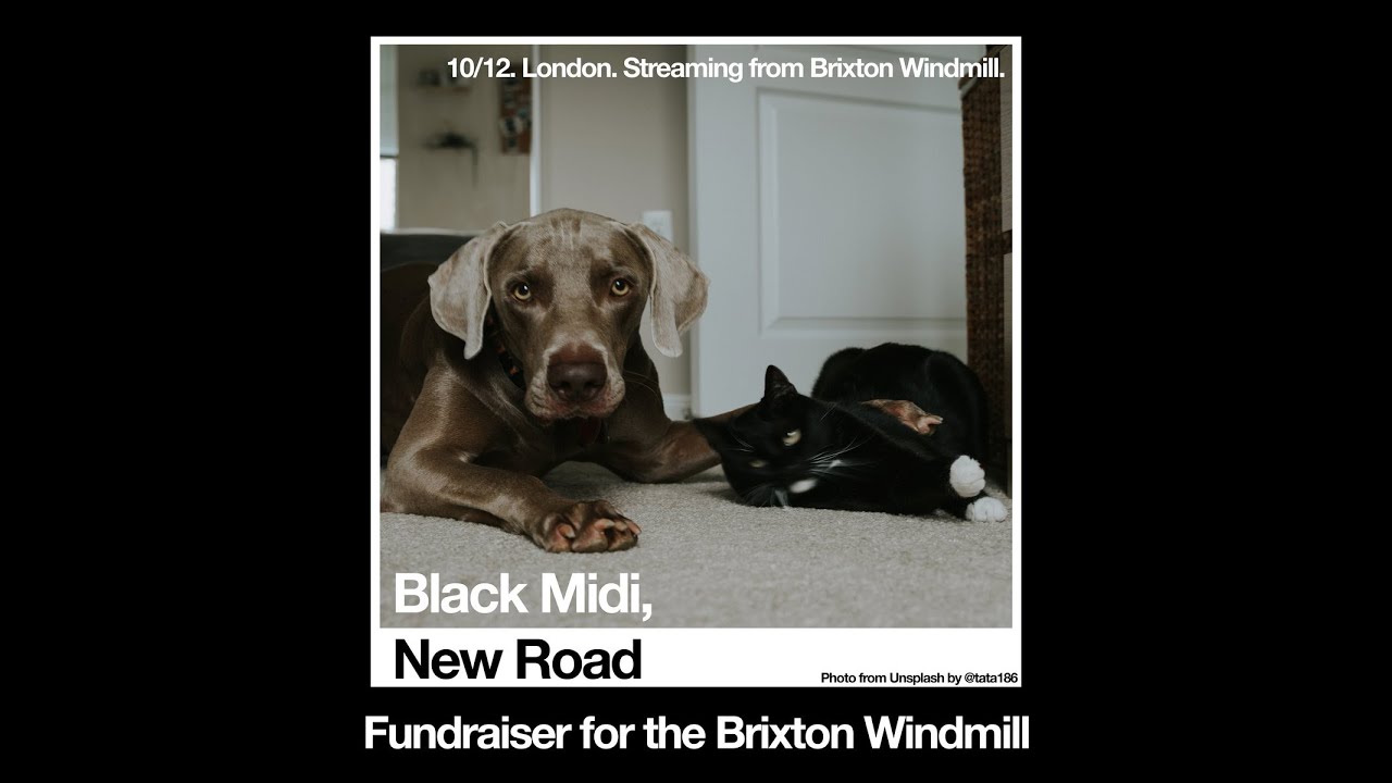 Black Midi, New Road Livestream