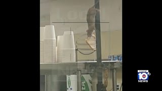 Sunrise senior living facility has kitchen shut down after video of rodent problem emerges