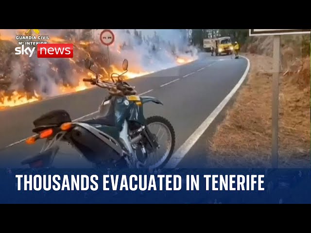 Canary Islands blaze: Thousands evacuated as wildfire hits Tenerife